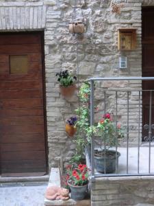 Fotografie z fotogalerie ubytování la corta di spello camere v destinaci Spello