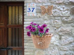 Fotografie z fotogalerie ubytování la corta di spello camere v destinaci Spello