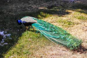 Φωτογραφία από το άλμπουμ του Kasbah Ait Oumghar σε Demnat