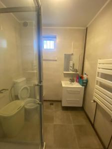 a bathroom with a shower and a toilet and a sink at Vila Ammos Mamaia 120 Metri De Plaja in Mamaia Nord