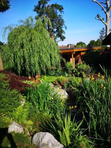 um jardim com flores e plantas em frente a uma casa em Les Chambres D'oriane em Chessy