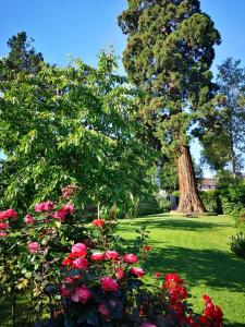 un gran árbol en un patio con flores en Les Chambres D'oriane en Chessy