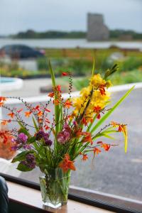 Foto dalla galleria di Castle View House a Ballylongford