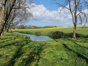 a river in the middle of a field with trees at Gutshaus Thorstorf FeWo Travemünde in Warnow