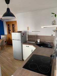 La cuisine est équipée d'un réfrigérateur blanc et d'un évier. dans l'établissement Duplex plein centre ville 3Etoiles, à Le Mont-Dore