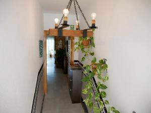 Fotografia z galérie ubytovania Casa Rural Los Serrano v destinácii Cazorla