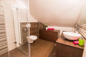 a bathroom with a sink and a toilet and a shower at Apartman Masne kramy in Třeboň