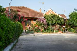 A garden outside Rose Garden