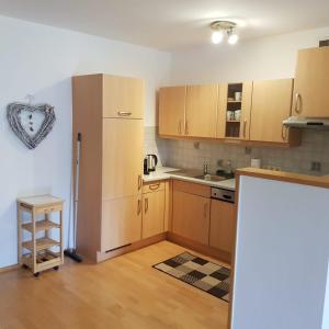 バート・アウスゼーにあるApartment Dachsteinblickのキッチン(木製キャビネット、冷蔵庫付)