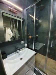 オデッサにあるCentral Apartmentsの白い洗面台とシャワー付きのバスルーム +19枚の写真