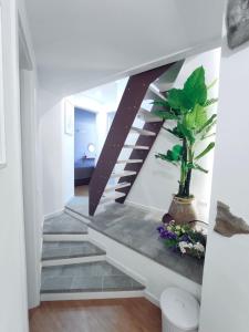 a staircase in a house with a potted plant at L' Attico GIALLO ORO di Giulia in Manarola