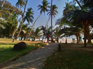 un camino de ladrillo que conduce a la playa con palmeras en Voulez-Vous, en Dikwella