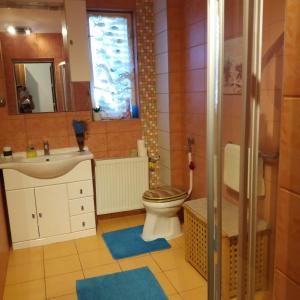 een badkamer met een toilet en een wastafel bij Aliz Apartman in Nyíregyháza