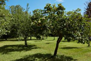 A garden outside Casale Cenerelli