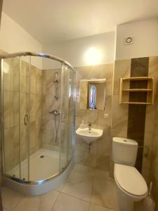 a bathroom with a shower and a toilet and a sink at Willa Na Krańcu Kazimierza in Uściąż