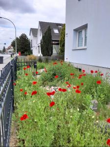 ブレーマーハーフェンにあるFerienhaus Seeroseの家の前の赤花畑