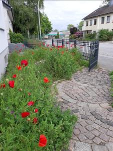 ブレーマーハーフェンにあるFerienhaus Seeroseの柵の横の赤い花畑