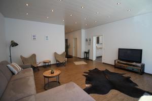 ein Wohnzimmer mit einem Sofa und einem Flachbild-TV in der Unterkunft City Schloss Viktoria in Koblenz