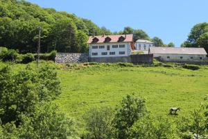 una casa su una collina con un cavallo in un campo di Apartamentos Zabalarena Ola a Orbaizeta