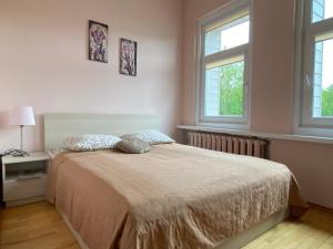 a bedroom with a bed and two windows at Apartamentai Eurista in Druskininkai