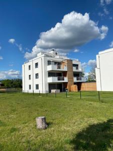 a white building with a grass field in front of it at Modernes Apartment am Hafen mit Seeblick in Großräschen