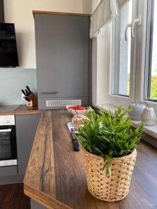 a kitchen with a wooden counter with a plant on it at Modernes Apartment am Hafen mit Seeblick in Großräschen