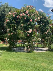 Un arco con rosas en un parque en FiordiSole Holiday Home, en Montopoli in Val dʼArno