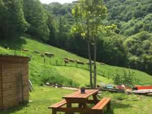 una mesa de picnic en un campo con vacas en una colina en Chambres d'hôtes Le Lepadou-Bas, en Saint-Chély-dʼAubrac