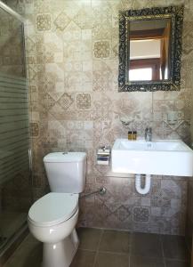 a bathroom with a toilet and a sink and a mirror at Clio apartments in Kambos