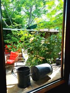 una ventana con vistas a un jardín con una lata de agua en Clio apartments, en Kambos