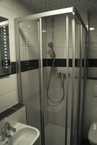 ein Bad mit einer Dusche und einem Waschbecken in der Unterkunft Arthotel Nagold in Nagold