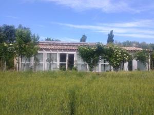 雷卡納蒂的住宿－La Casa di Tara B&B Armonia e Natura，田间中的一个老房子