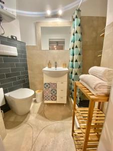 een badkamer met een wit toilet en een wastafel bij Le St Roch 2 in Menton