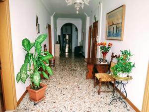 a hallway with plants and a table and chairs at Casa Favaretto Guest House in Venice