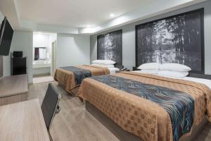 Postel nebo postele na pokoji v ubytování Super 8 by Wyndham Humble Houston Fallcreek