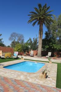 a swimming pool with a palm tree in a yard at Okahandja Guesthouse in Okahandja