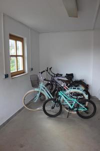 Jízda na kole v ubytování Ferienhaus Storchennest nebo okolí