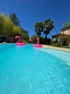 a swimming pool with two pink flamingos in the water at Sunsetvilla au calme avec SPA et Piscine chauffée, plage à pied ,Golf à proximité in Saint-Cyr-sur-Mer
