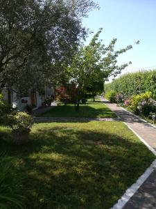 a grassy yard with trees and a sidewalk at Casa Pianta in Cavallino-Treporti