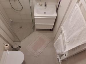 bagno bianco con lavandino e servizi igienici di Ošia Ošia VIP apartamentai a Palanga