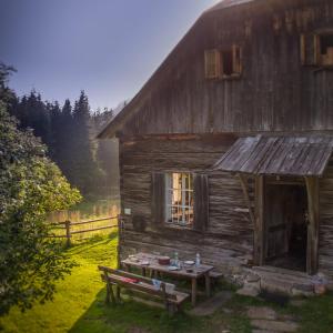 an old barn with a picnic table in front of it at Unplugged Almhütte Waldbauer in Reichenfels