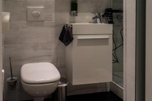 a bathroom with a toilet and a sink and a shower at Studio 20qm mit Balkon und Innenpool - 22030 in Schluchsee