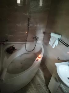 Koupelna v ubytování Apartment Nela