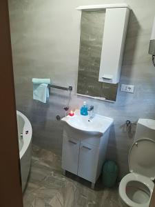 Koupelna v ubytování Apartment Nela