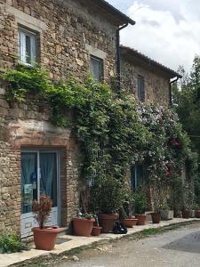 een stenen gebouw met planten aan de zijkant bij Bed And Breakfast Belvedere in Suvereto