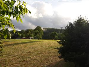 a field of grass with trees in the background at Paradiesli am Hochrhein in Rheinfelden