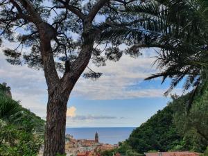 a tree in front of a large building with a view of the ocean at Hotel Relais Villa Annalara in Amalfi