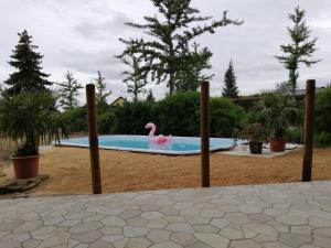 een zwembad met een roze flamingo in een tuin bij "Altjessen 57" in Pirna