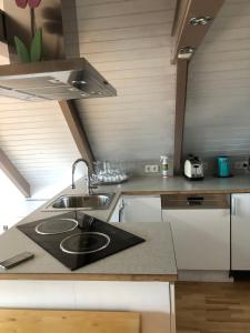 A kitchen or kitchenette at Pfahlbau Neusiedlersee - Waterfront - erste Reihe