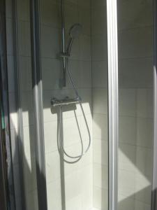 y baño con ducha con cabezal de ducha. en Haus Mühlenbach en Mechernich